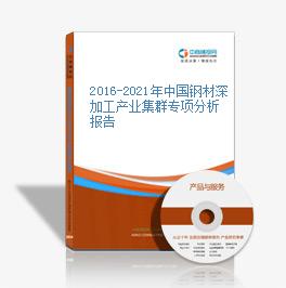 2016-2021年中國鋼材深加工產業集群專項分析報告