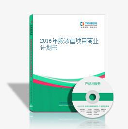 2016年版冰墊項目商業計劃書