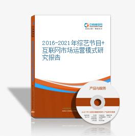 2019-2023年綜藝節目+互聯網市場運營模式研究報告