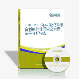 2019-2023年中國資源綜合利用行業調查及發展前景分析報告